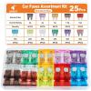 25pcs Standard